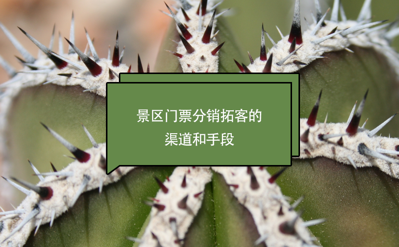景區(qū)門(mén)票分銷拓客的渠道和手段
