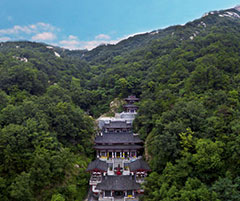 景區(qū)運(yùn)營(yíng)解決方案3