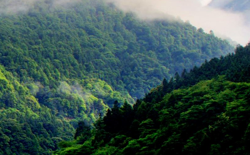 通過(guò)抖音對(duì)景區(qū)營(yíng)銷推廣