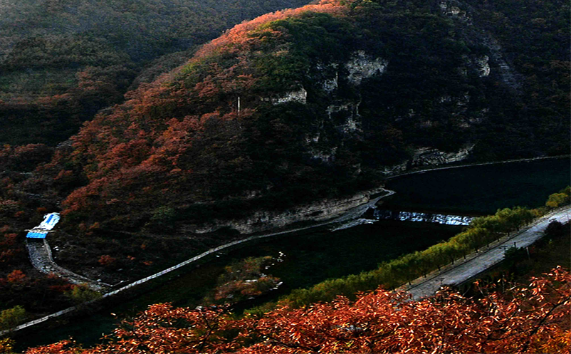 旅游景區(qū)搭上網(wǎng)絡直播的快車