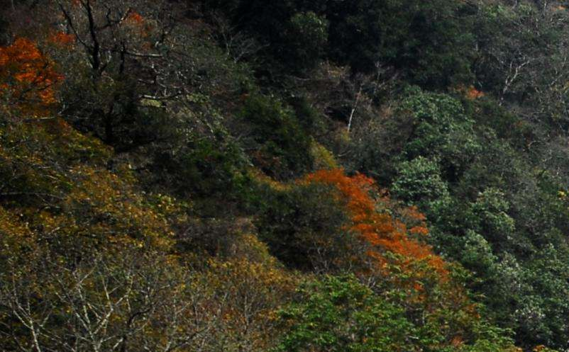 影視旅游目的地集合粉絲群體，助力景區(qū)精準(zhǔn)營(yíng)銷(xiāo)