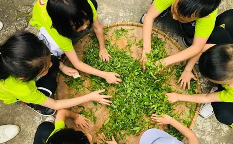 親子研學、家庭休閑為主要出游動機