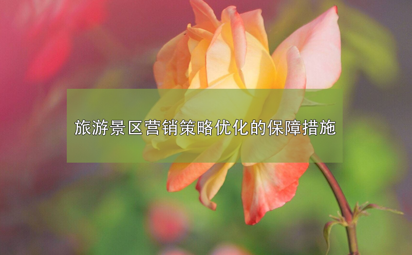 旅游景區(qū)營(yíng)銷策略優(yōu)化的保障措施 