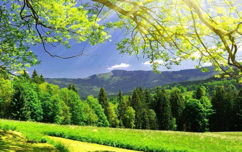 景區(qū)如何服務(wù)好本地游客，做好本地游客市場(chǎng)