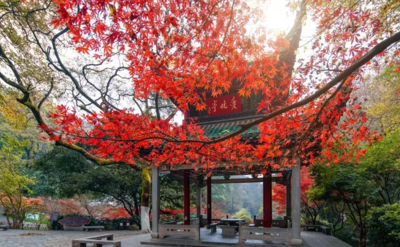 網紅景區(qū)憑什么脫穎而出？