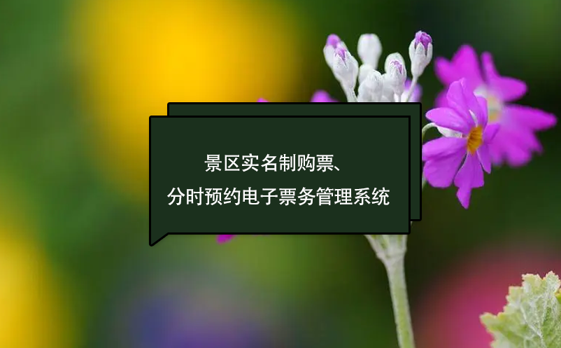 景區(qū)實(shí)名制購票、分時(shí)預(yù)約訂票電子票務(wù)管理系統(tǒng)