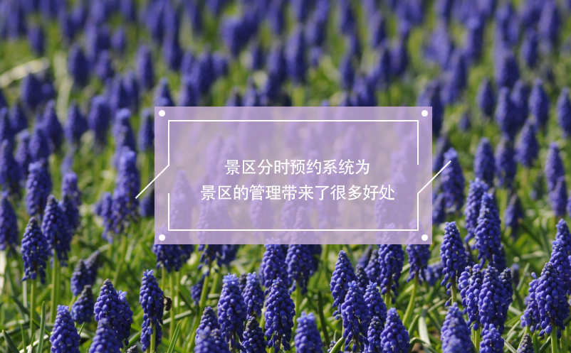 景區(qū)分時預約系統為景區(qū)管理帶來了很多好處