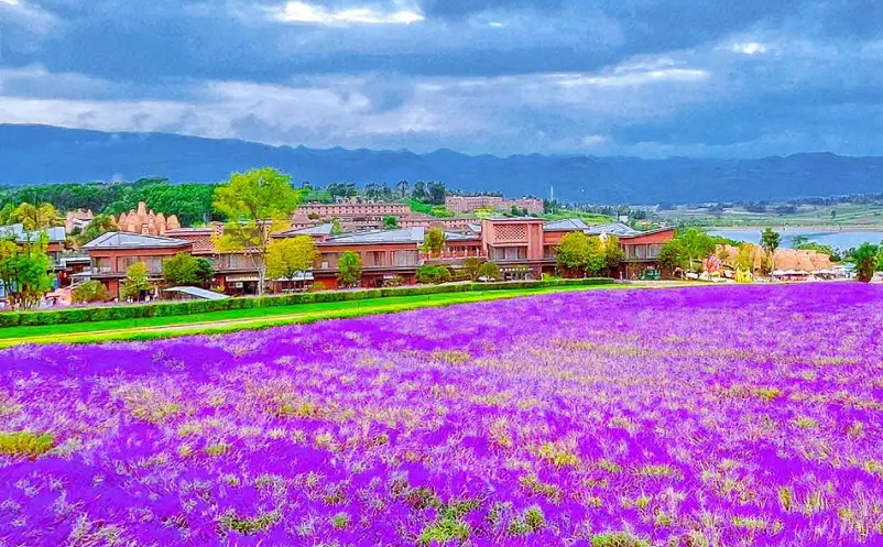 景區(qū)門票銷售混亂怎么辦？試試易景通景區(qū)票務系統(tǒng)