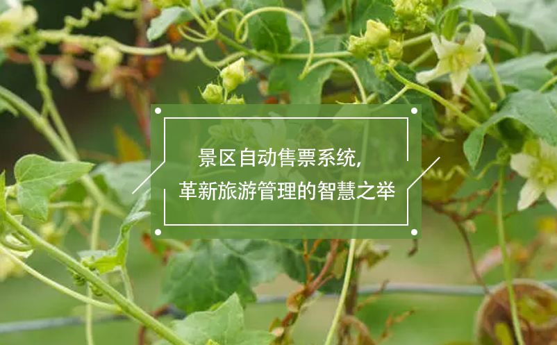 景區(qū)自動(dòng)售票系統(tǒng)，革新旅游管理的智慧之舉