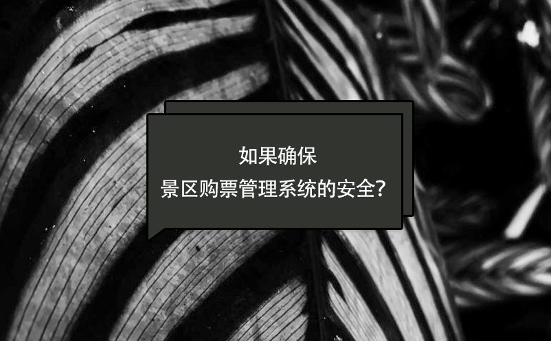 如果確保景區(qū)購票管理系統(tǒng)的安全？