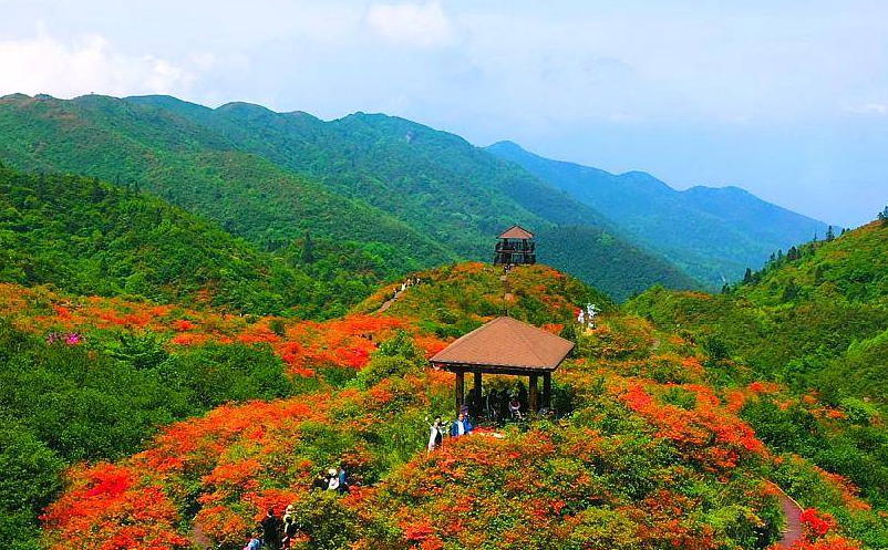 舉例說明景區(qū)票務(wù)系統(tǒng)如何提升景區(qū)的競爭力和運營效率