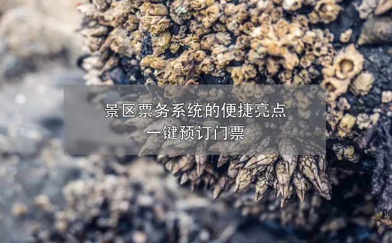 景區(qū)票務(wù)系統(tǒng)的便捷亮點(diǎn)：一鍵預(yù)訂門票