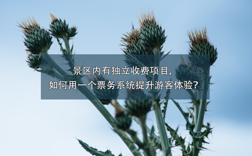 景區(qū)內(nèi)有獨(dú)立收費(fèi)項(xiàng)目，如何用一個(gè)票務(wù)系統(tǒng)提升游客體驗(yàn)？