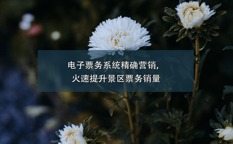 電子票務(wù)系統(tǒng)精確營(yíng)銷(xiāo)，火速提升景區(qū)票務(wù)銷(xiāo)量