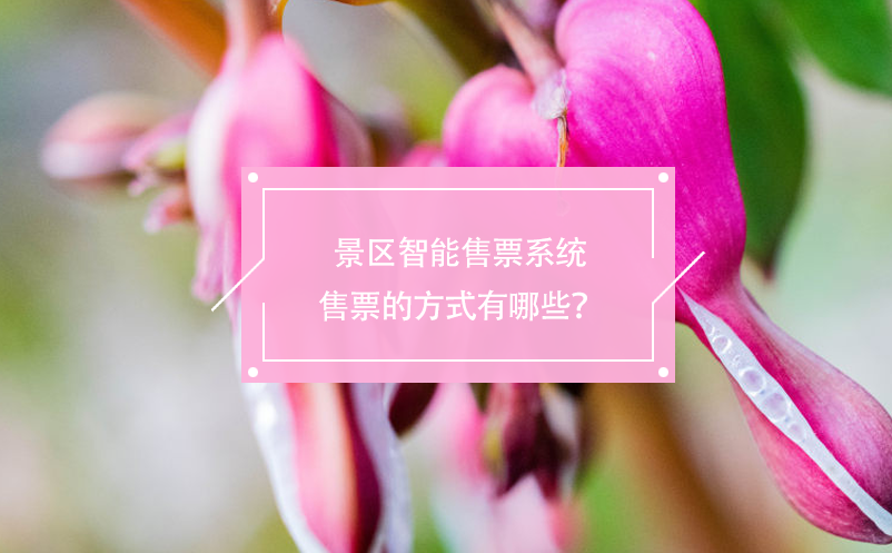 景區(qū)智能售票系統(tǒng)售票的方式有哪些？