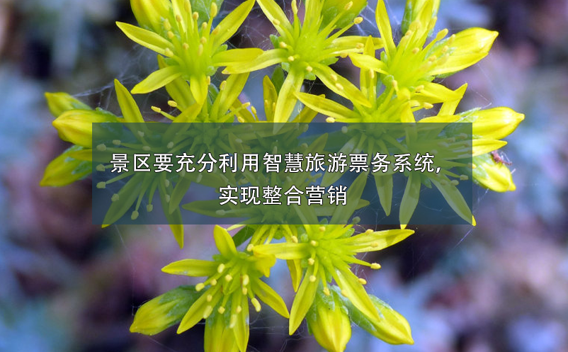 景區(qū)要充分利用智慧旅游票務(wù)系統(tǒng)，實(shí)現(xiàn)整合營銷