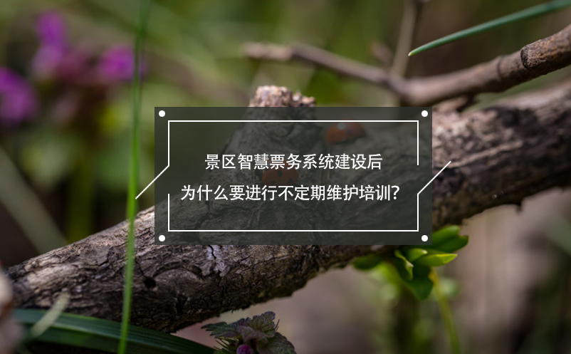 景區(qū)智慧票務(wù)系統(tǒng)建設(shè)后為什么要進(jìn)行不定期維護(hù)培訓(xùn)？