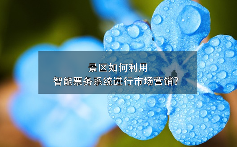 景區(qū)如何利用智能票務(wù)系統(tǒng)進(jìn)行市場(chǎng)營(yíng)銷？