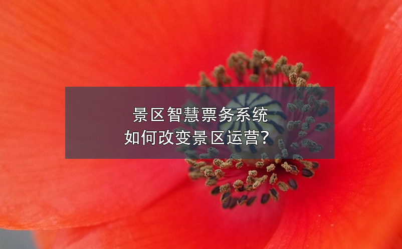 景區(qū)智慧票務(wù)系統(tǒng)如何改變景區(qū)運(yùn)營？