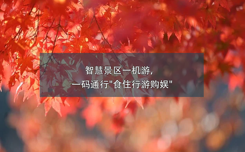 智慧景區(qū)一機游，一碼通行