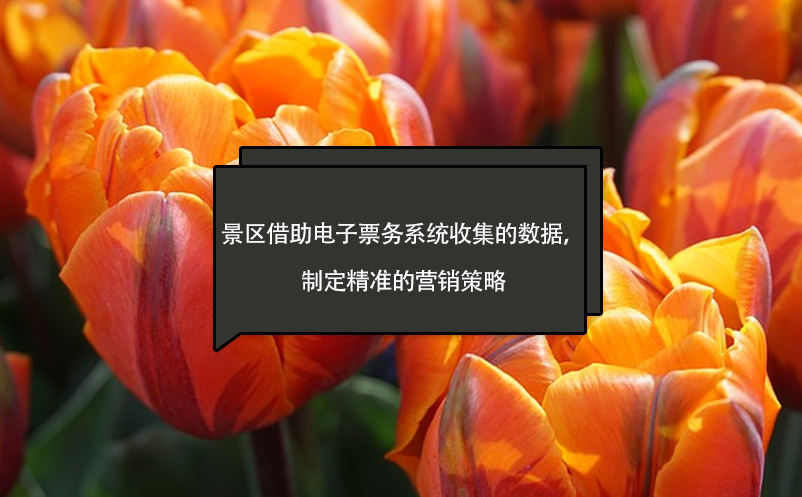 景區(qū)借助電子票務(wù)系統(tǒng)收集的數(shù)據(jù)，制定精準(zhǔn)的營銷策略