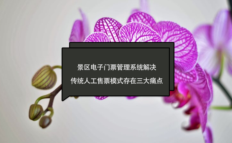 景區(qū)電子門(mén)票管理系統(tǒng)解決傳統(tǒng)人工售票模式存在三大痛點(diǎn)