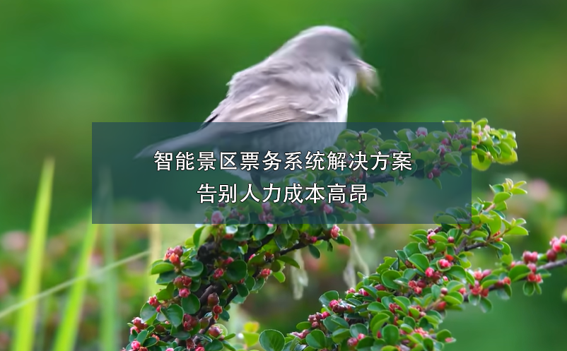 端午小長假，智能票務(wù)系統(tǒng)如何在確保游客體驗(yàn)和提升景區(qū)的管理？