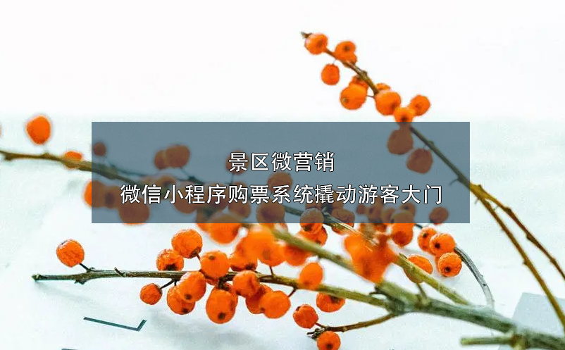 景區(qū)微營(yíng)銷：微信小程序購(gòu)票系統(tǒng)撬動(dòng)游客大門(mén)